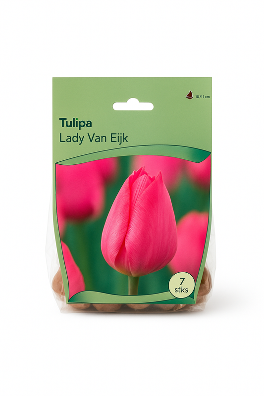 Tulip